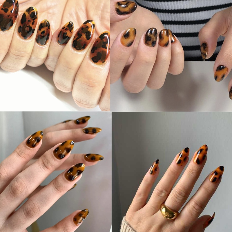 1 rotolo 100CM * 4CM guscio di - Nail Art Zebra recensione e prezzo